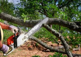 Mulching Services in Soulsbyville, CA